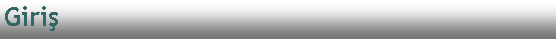 Metin Kutusu: Giri?? 